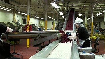 Graceland Fruit on ION Network