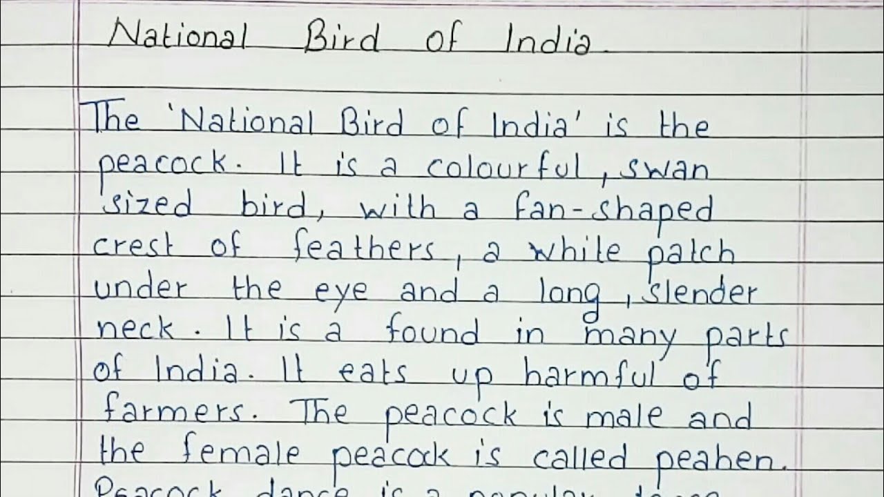essay on swan bird in english