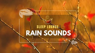 3 Hours Autumn Rain Sounds: Perfect Ambient for a Restful Night&#39;s Sleep