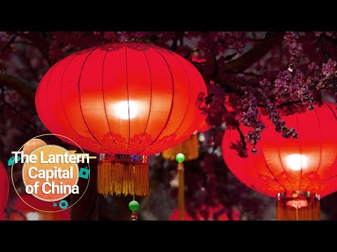 Video: Kinesisk lanterneinformation: Sådan plejer du en kinesisk lanterne