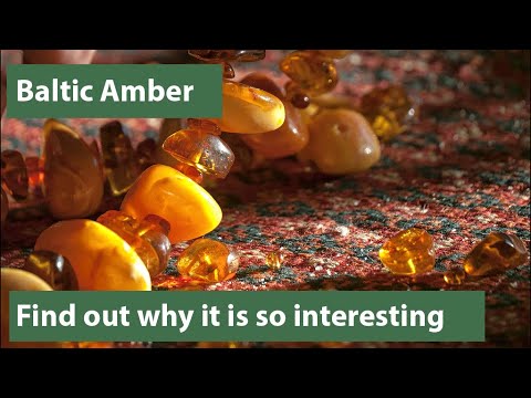 Baltic Amber - Explained