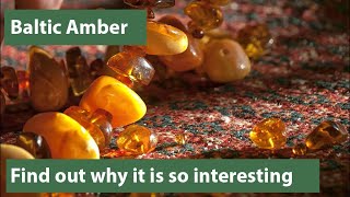 Baltic Amber - Explained
