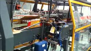 High Speed Wrap around case packer