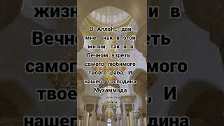 Дуа Чтобы Увидеть Пророка Мухаммадаﷺ.