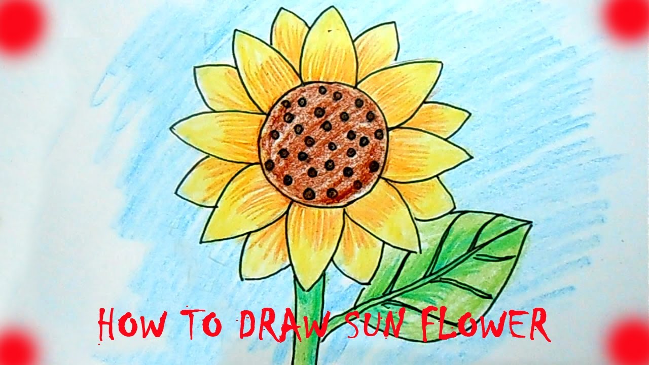 HOW TO DRAW SUN FLOWER - YouTube