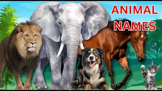 Animal Sounds | Animal Names for kids |  Animals Vocabulary Part 1