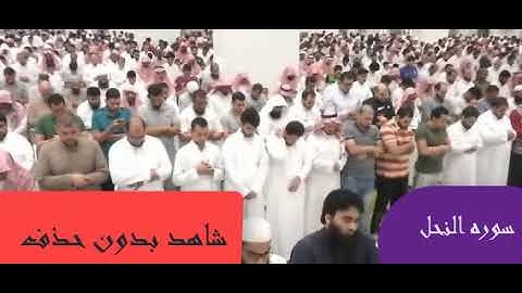 سورة النحل | المصحف المرئي للشيخ ناصر القطامي من رمضان1440هـ | Surah-AnNahl