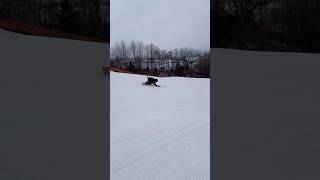 緩斜面のうねり #snowsurf #snowboarding