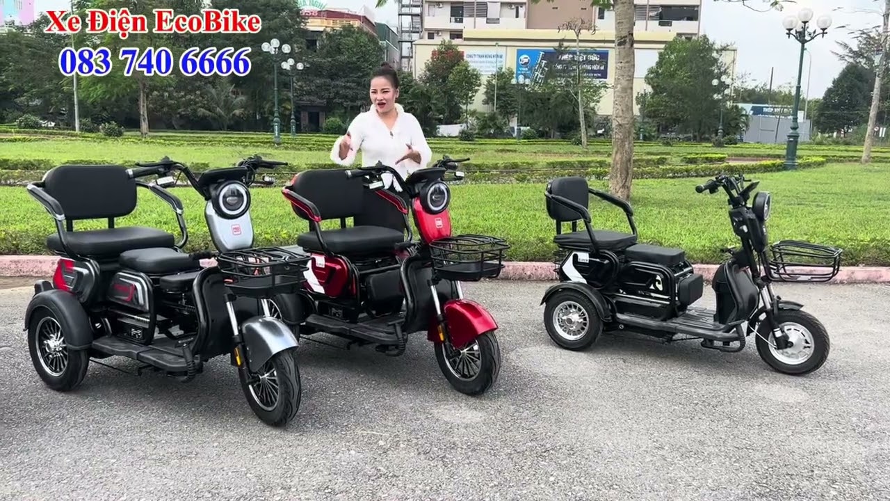 Xe Điện 3 Bánh Chạy Pin Lithium Động Cơ 1200w Leo Dốc Cực Khoẻ Tải Trọng 200kg