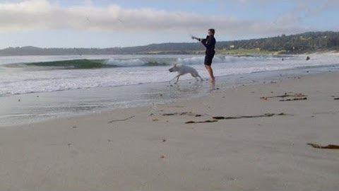 Businessweek Profile: The Most Inspirational Woman in Tech