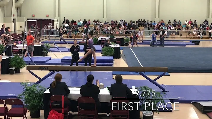 Peyton Lambert, Level 3 State Meet 2017