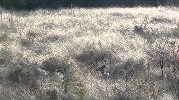 WeHuntSC.com - Adam Smith