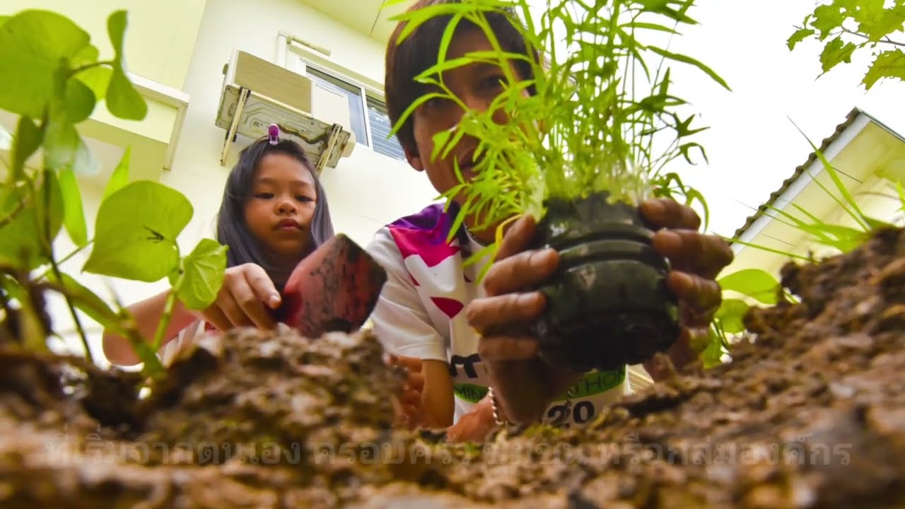 WWD2022 VTR การประกวดภาพถ่าย วีดิทัศน์ เรียงความ