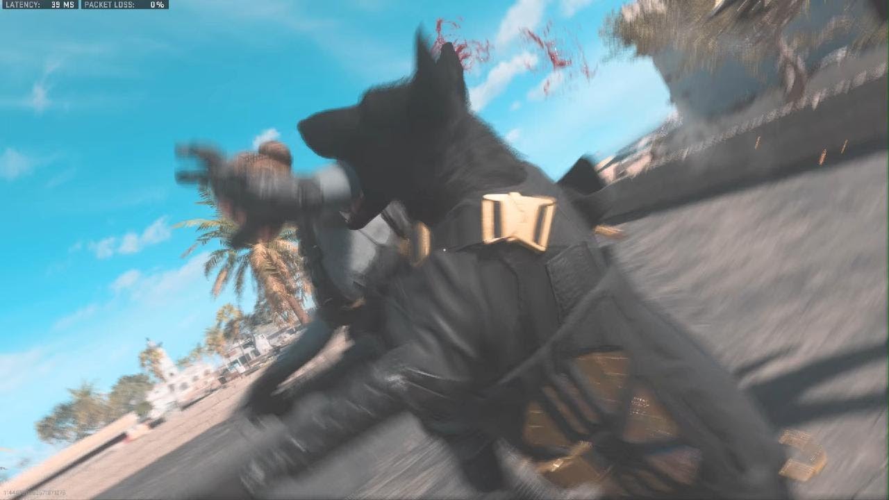 Call of Duty: MW2 -tactical pet: Merlin finishing move