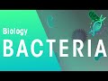 Bacterial Disease | Health | Biology | FuseSchool