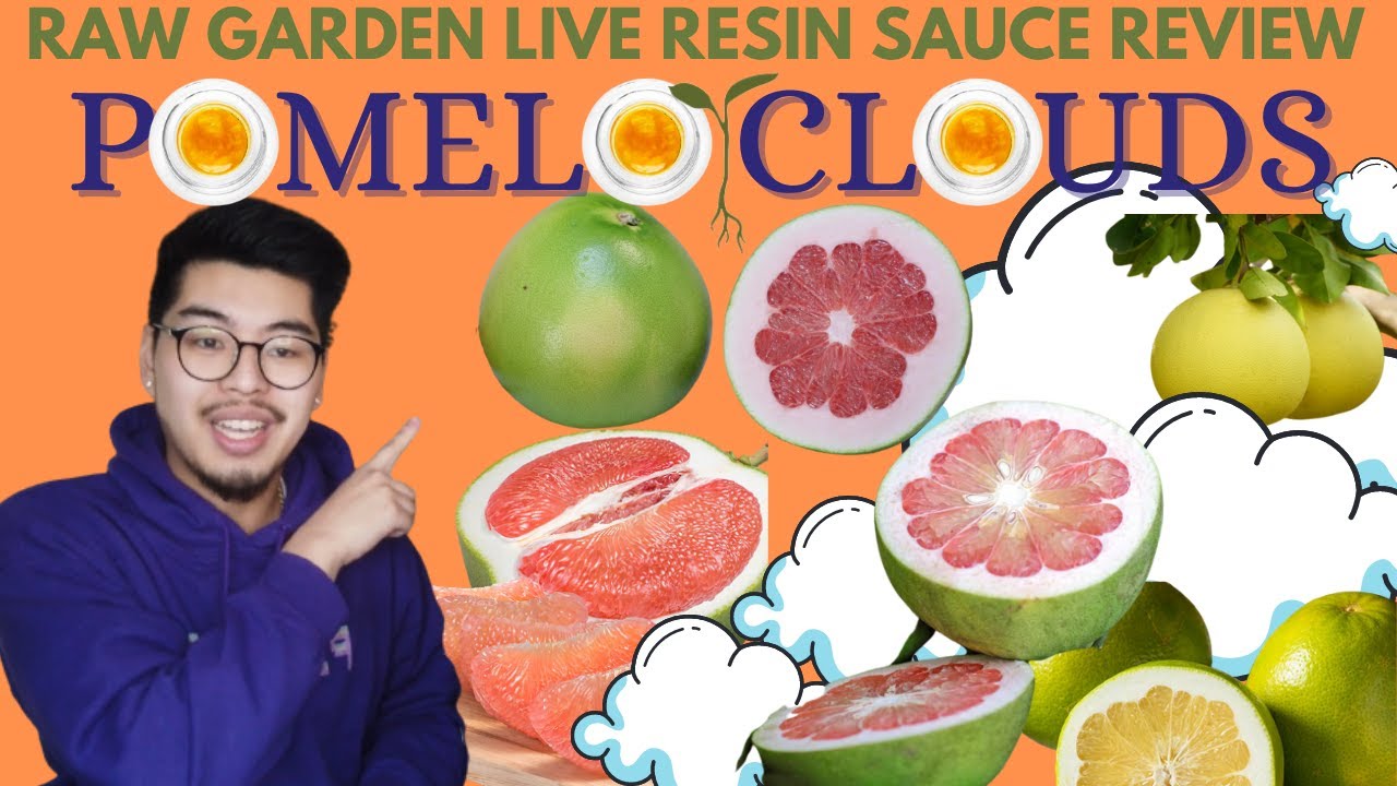 Another Sweet and Smooth LIVE RESIN SAUCE | Pomelo Clouds Raw Garden Live Resin Sauce Review