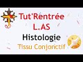 Tutrentre las 2021histologietissu conjonctifjour4