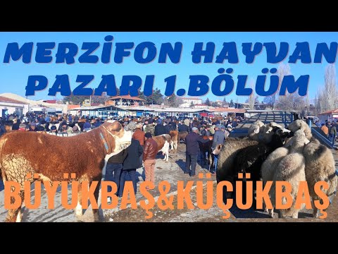 Video: Kas Costco müüb Ezekieli leiba?