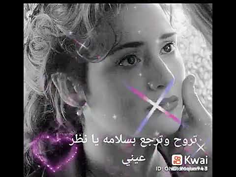 تروح وترجع بالسلامه يا نظر عيني