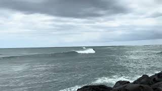 IMG 5452
