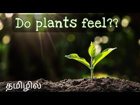 Do plants have feelings??? Tamil