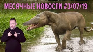 МЕСЯЧНЫЕ НОВОСТИ #3 II Июль 2019