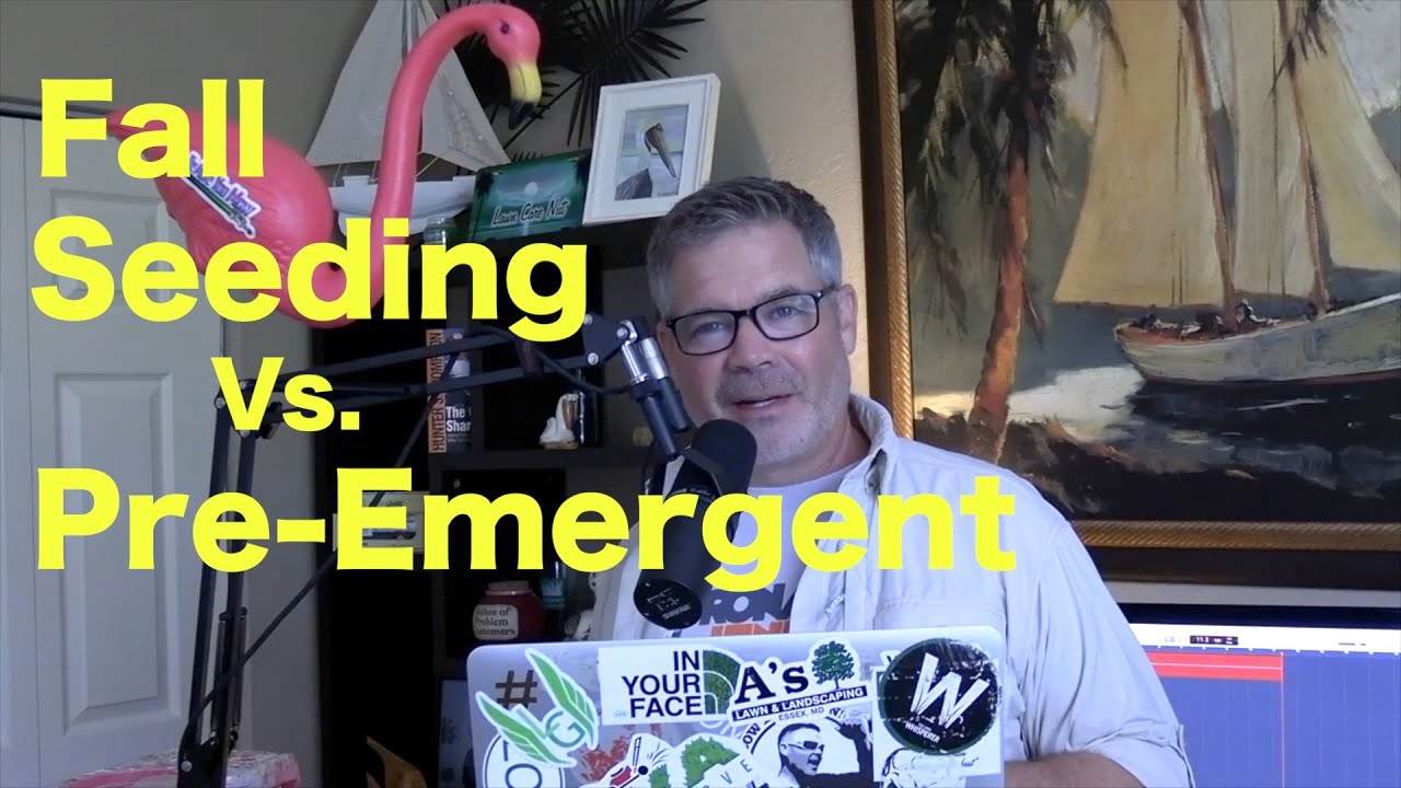 Fall Pre Emergent For Winter Weed Control Vs Fall Overseeding What Is fall-pre-emergent-for-winter-weed-control-vs-fall-overseeding-what-is