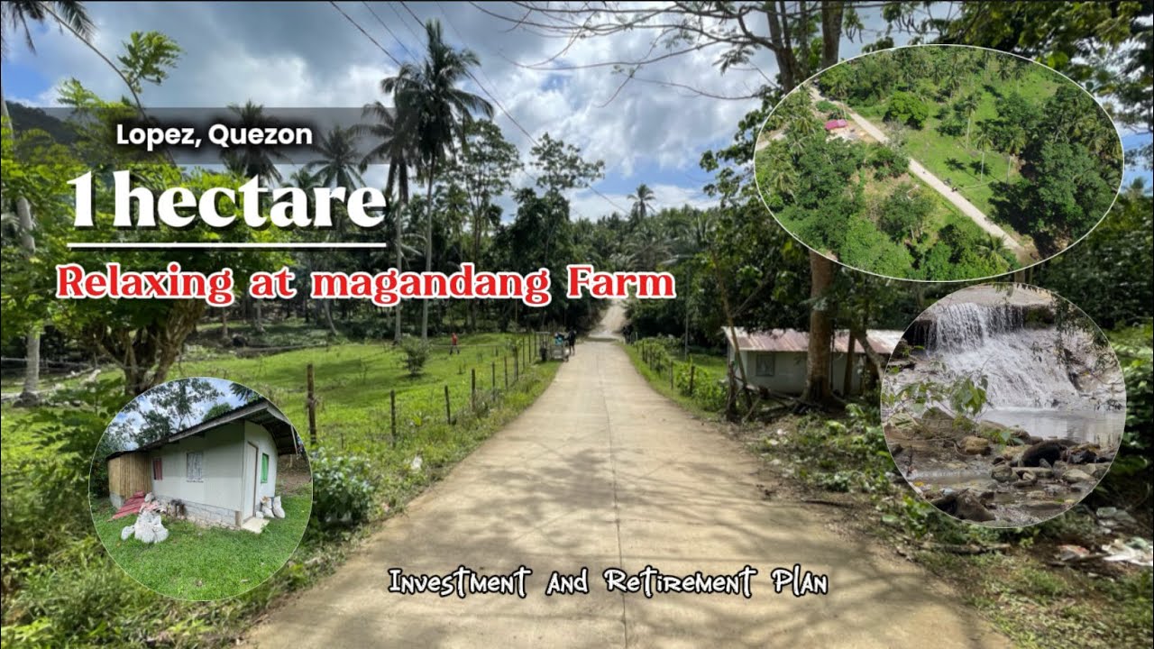 Lot#96| Malinis, relaxing, pang retirement na pweding mag business. 1 hectare Farmlot, Ganda nito. 