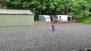 George flatwork