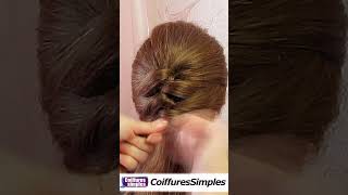 Elegant Short Hair Hairstyle with Elastics