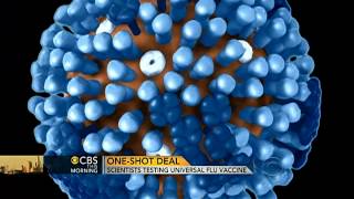 Universal flu vaccine on the way?