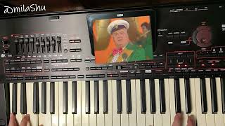 @vladimirkorg7745 - KorgStyle