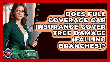 Does Full Coverage Car Insurance Cover Tree Damage (falling Branches)? - Auto Coverage Explained