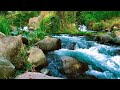 Soothing | River Relaxing &amp; Music Relaxing in Moonlit Forest for Deep Sleep &amp; Calm 🌙💧