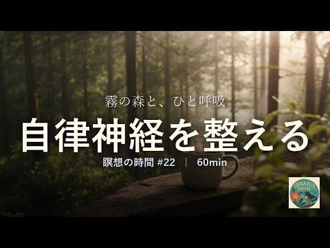 自律神経を整える、霧の森｜やさしいピアノ60分