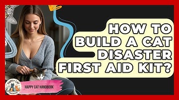 How To Build A Cat Disaster First Aid Kit? - Happy Cat Handbook
