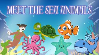 Meet the sea animals | Learn sea animals name | Kids vocabulary | Aquatic animals | underwater life