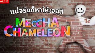 MECCHA CHAMELEON | LIVE บ่าว แน่จริงก็ลองหาฉันให้เจอดูสิ!