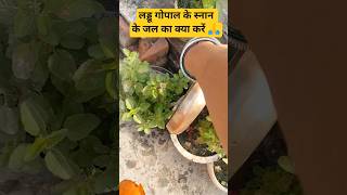 लड्डू गोपाल के स्नान के जल का क्या करें 🙏#shorts#sadhanpath#bhajanmarg #ytsearch #trending#