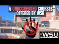 5 Unaccredited Courses offered by Walter Sisulu University (WSU)