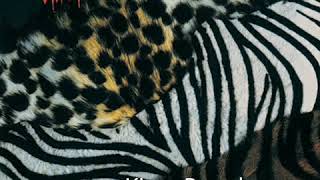 Thrills In The Night  Kiss  Drumless