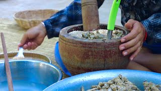 Lao Food : Making Prahok Lao in my homeland to eat with natural vegetable - RatanakNiky