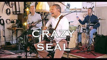 Crazy (Seal) - Acoustic Cover