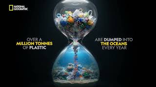 Keep The Ocean Alive | World Ocean Day | @natgeoindia