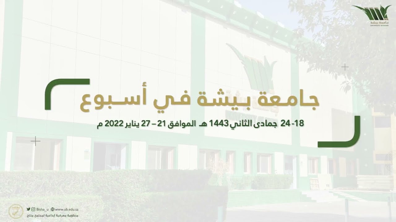 جامعة بيشة