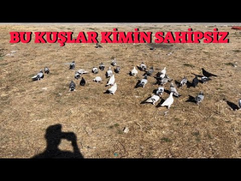 Yıkık İnşaatların Arasında