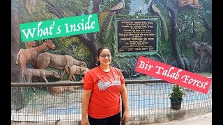 In my regular work from home vlog, i ended up doing something
interesting. visited the bir talab zoo, bathinda. it's forest,
bathinda and ...