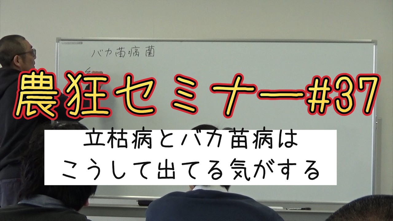 農狂セミナー#37　立枯病とバカ苗病はこうして出てる気がする