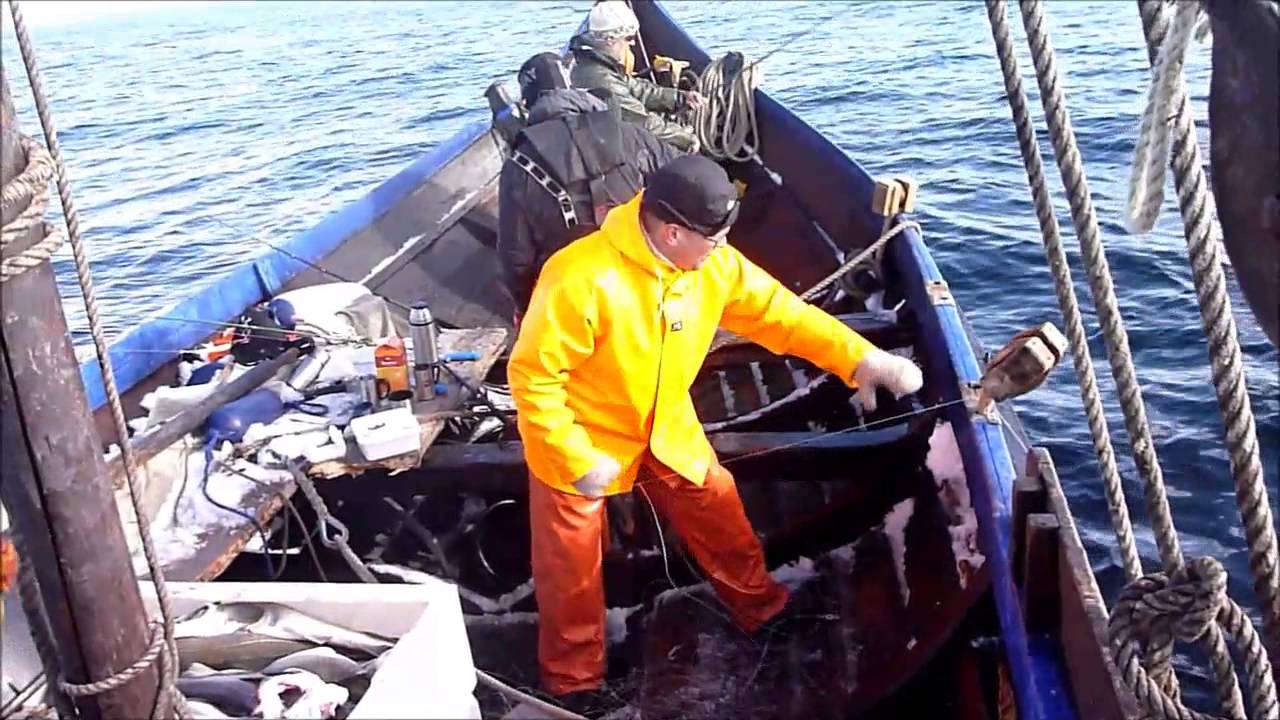 Lofotfiske 2013 med fembøringen Vågar