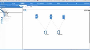 Integrated Application Delivery and DDoS Protection with Cisco ACI - Radware